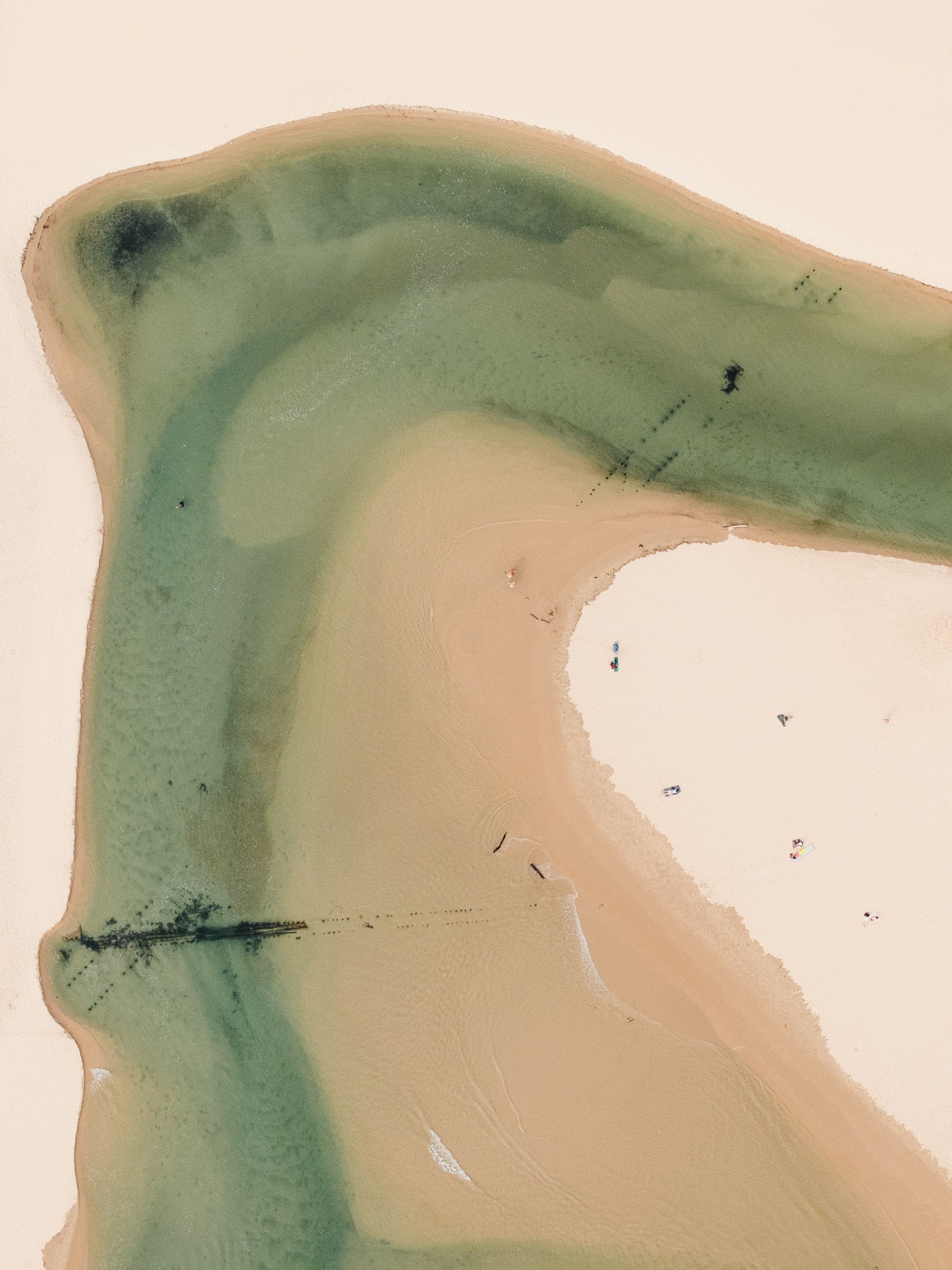 Abstract aerial view of a curved coastline with turquoise water meeting beige sand.