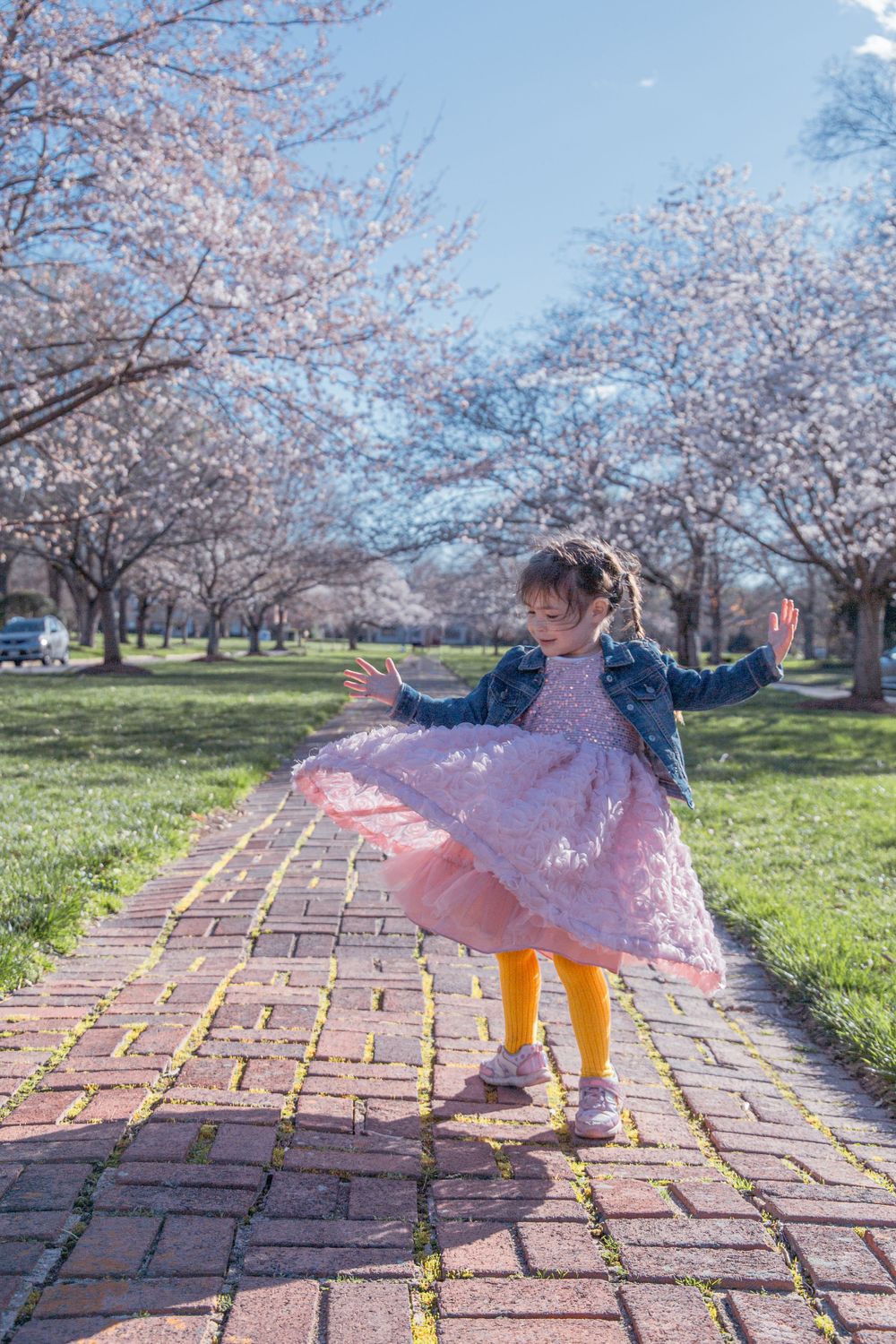 Dancing figure in pink dress and denim jacket under blooming cherry trees.