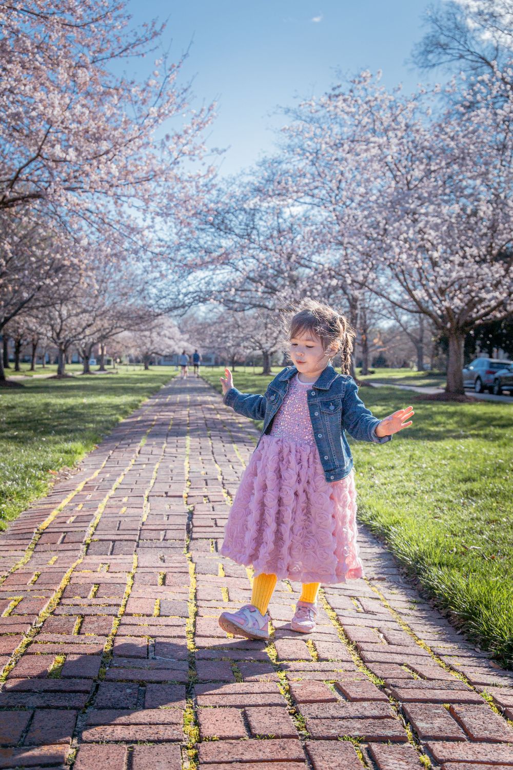 Spring scene with person twirling on brick path under flowering cherry trees.