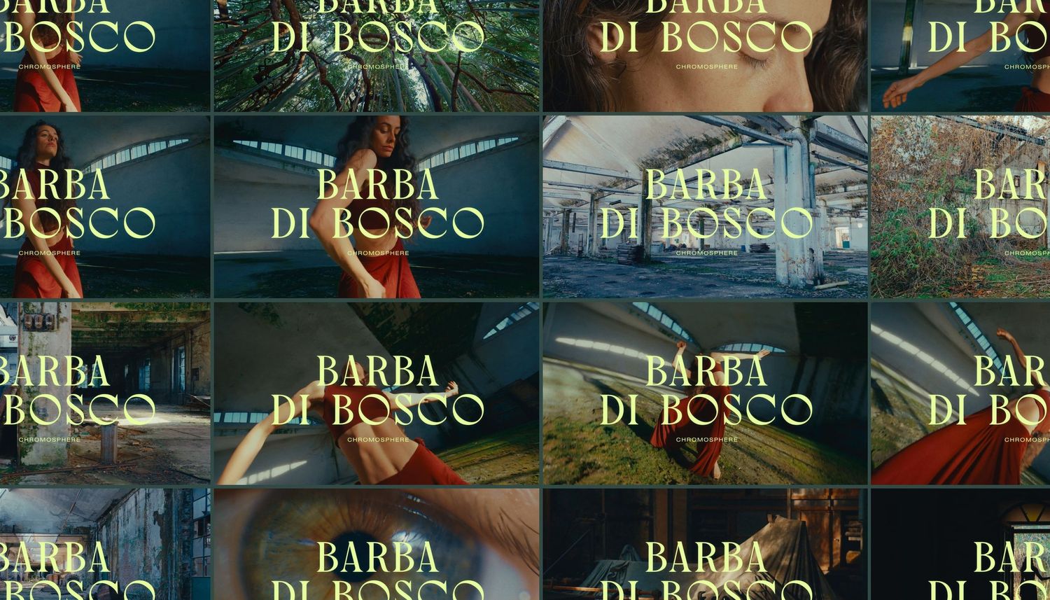 Chromosphere Barba di bosco Video Musicale Alessio Ferreri