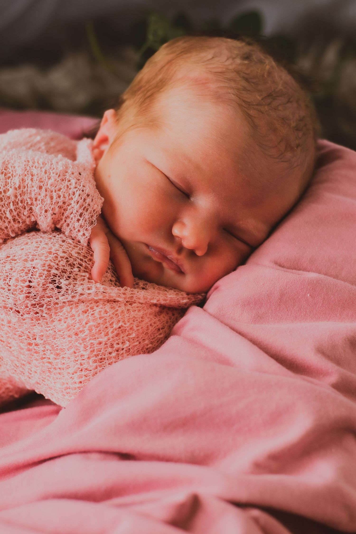 Peaceful sleeping newborn wrapped in soft pink blanket against pink backdrop.
