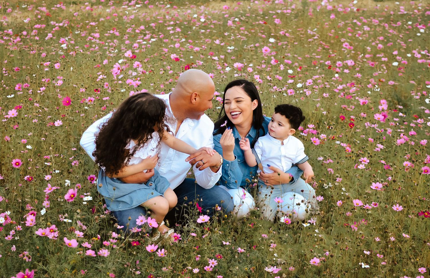 Family lying together in field of pink cosmos flowers on sunny day.