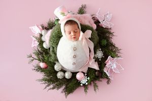 Newborn baby photography with pink background, evergreen branches, and delicate white butterfly decorations.