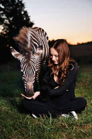 A young zebra and person in black clothing share a tender moment together on grassy ground at sunset.