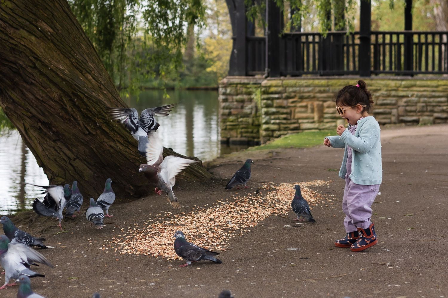 Girl chasing pigeons in Barnet park