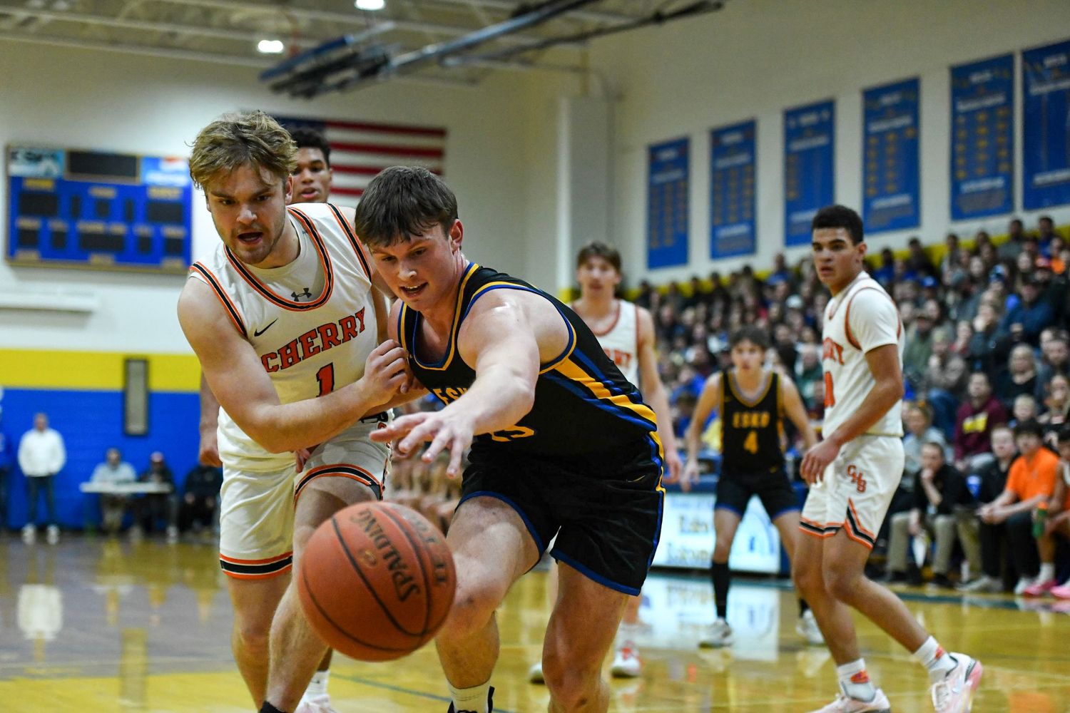 Minnesota basketball photographer