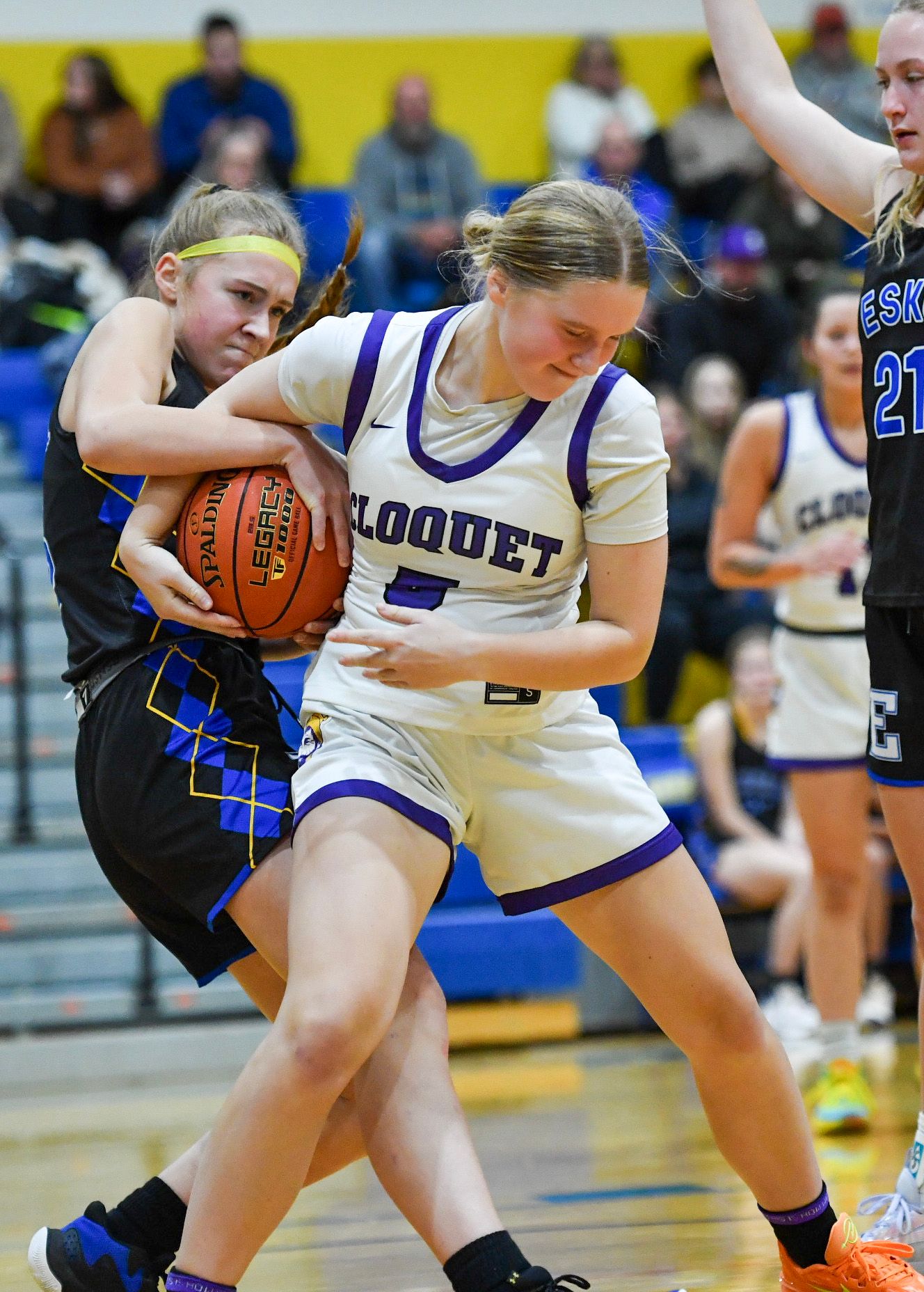 Minnesota basketball photographer