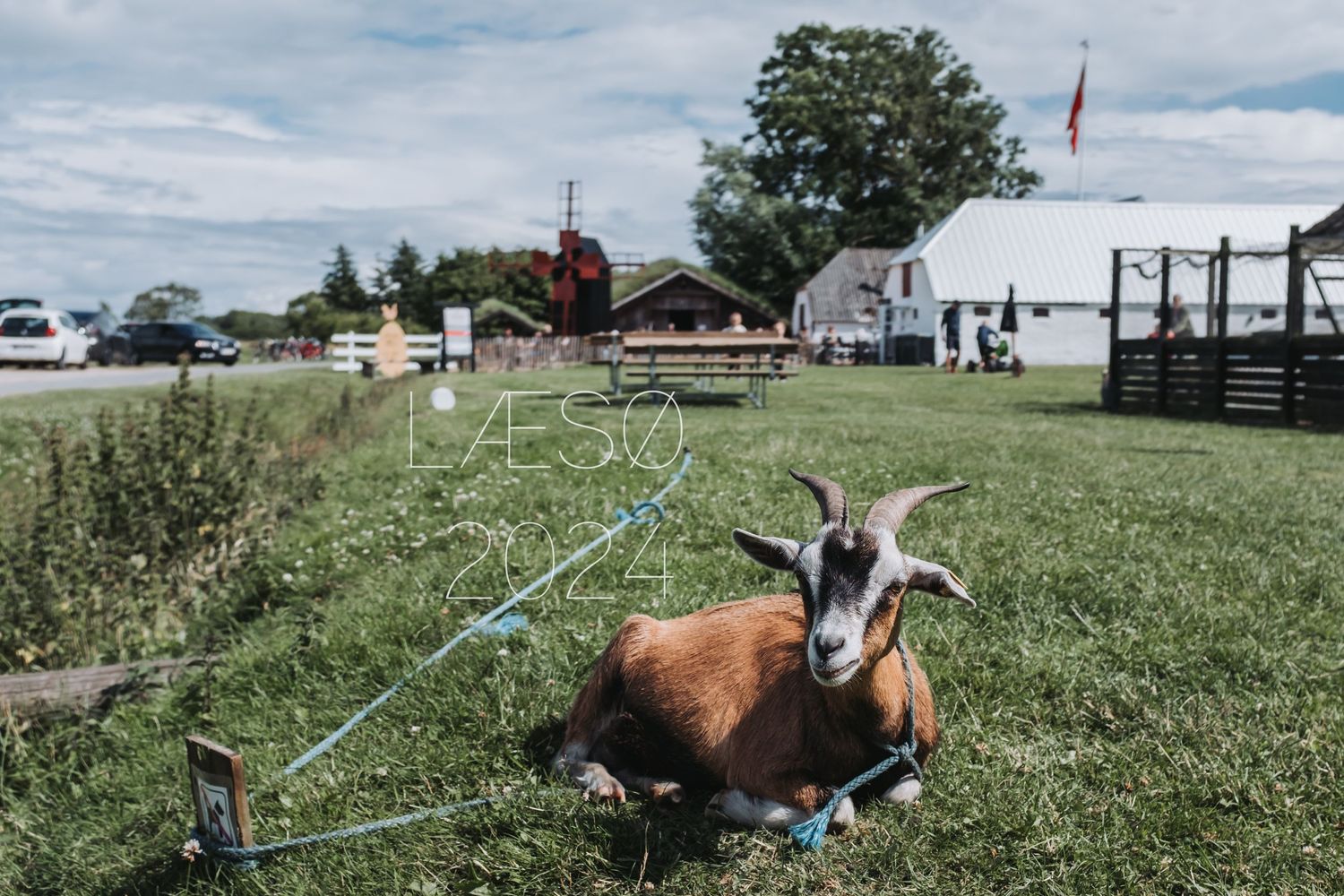 Hygge på Læsø.