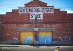 Ilka and Nick wanting to use some of the best backdrops Dunedin has to offer