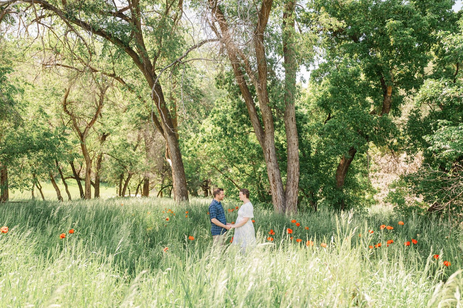 Couple sharing an intimate moment in tall grass beneath trees in a natural outdoor setting.
