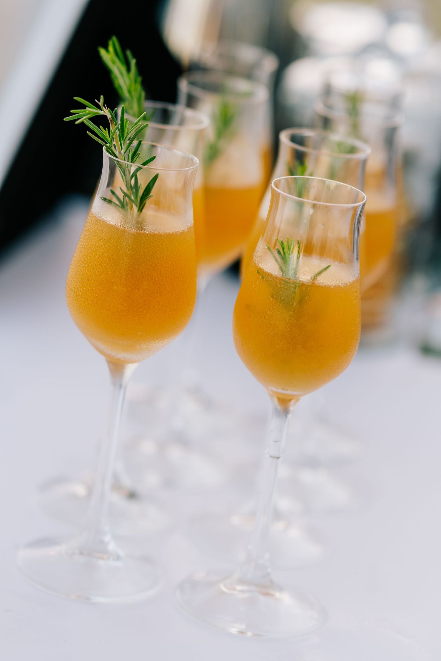 Elegant champagne flutes filled with orange cocktails garnished with fresh rosemary sprigs arranged on a white table.
