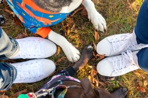 An overhead view of multiple pairs of white sneakers and feet gathered in a circle.