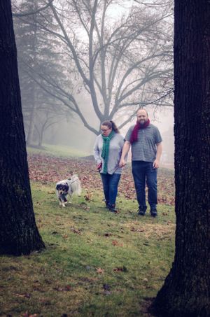 A couple walking their dog on a misty morning through a grassy park with tall trees.