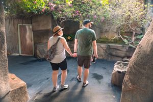 Couple walking hand in hand through a shaded pathway in a tropical garden setting.
