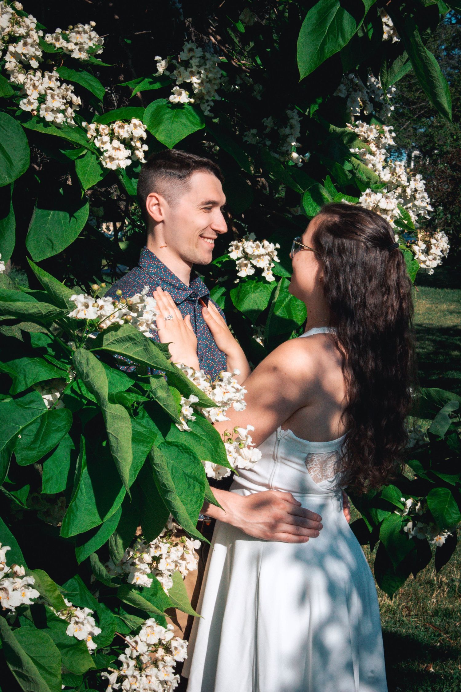A romantic couple embraces among blooming white flowers and green leaves in a garden.