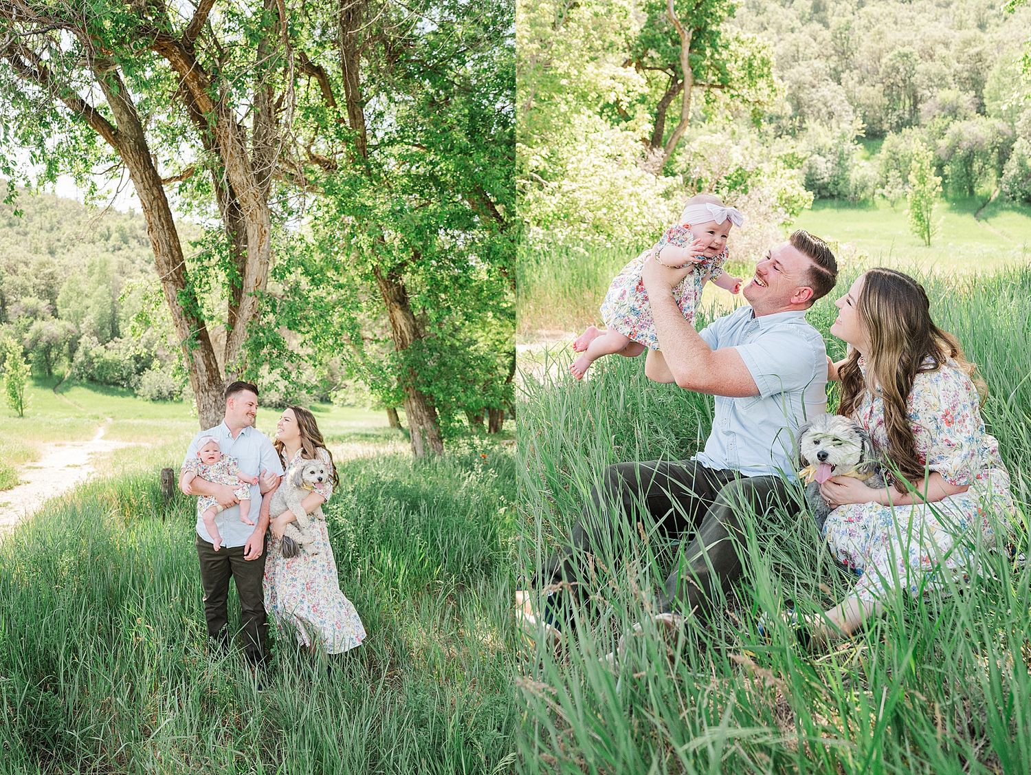 Joyful family interactions in a beautiful natural setting with tall grass and trees.