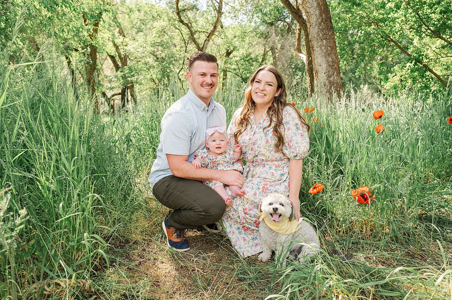 Family portrait in a green meadow with orange poppies and small fluffy dog.