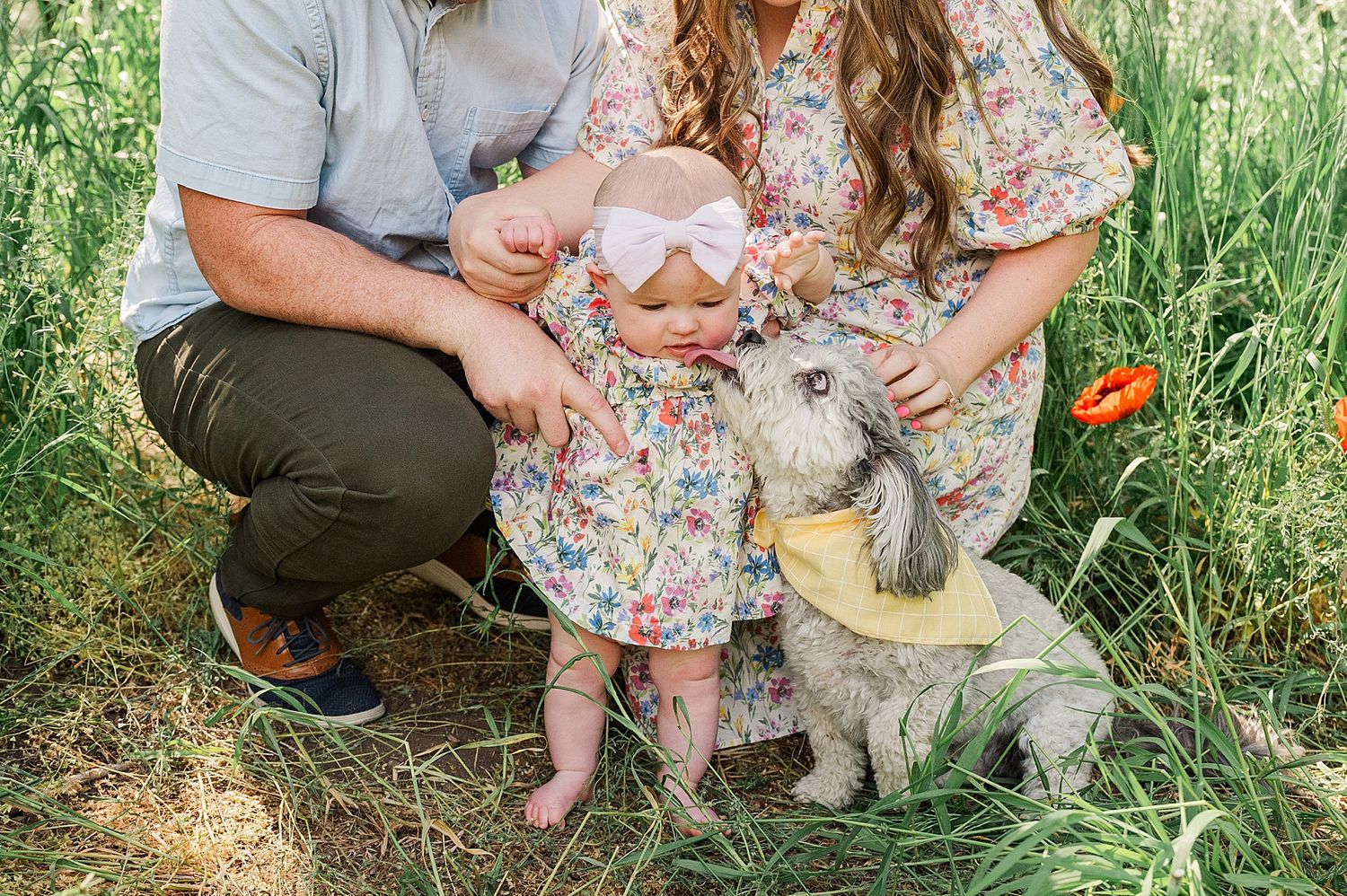 Family with small dog and baby sitting together among wildflowers in a grassy meadow.
