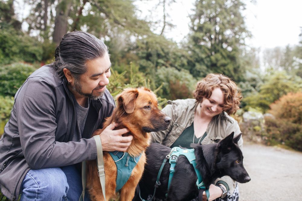 A couple with their pet dogs at a family photo session with green evergreen trees in the background in Kubota Gardens