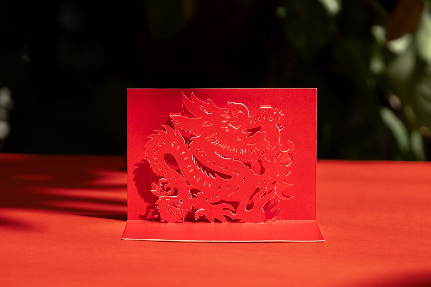 Chinese New Year Paper Cutout 2024 2