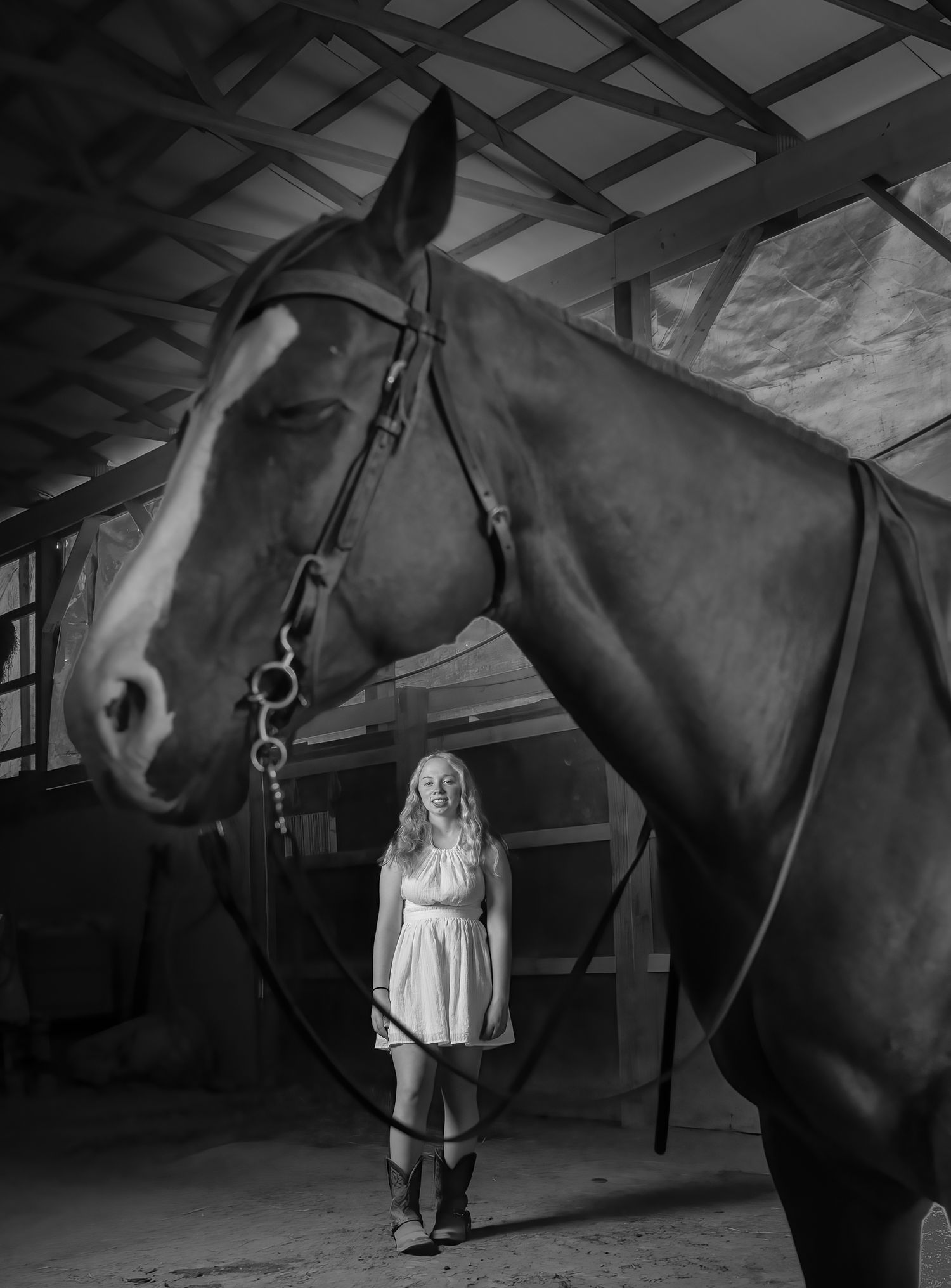 Dramatic black and white portrait with horse in dimly lit stable.