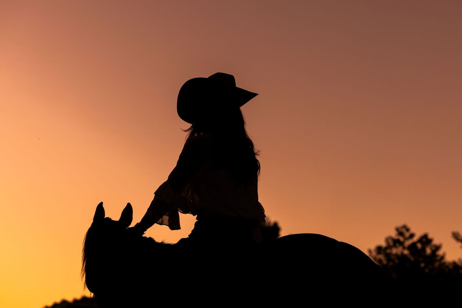 Silhouette of a rider on horseback against an orange sunset sky.