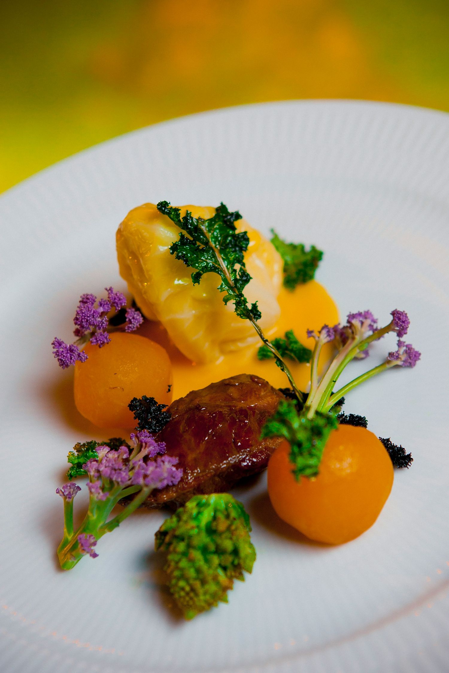 Elegant plated dish with golden sauce dollops, purple cauliflower, green kale, and broccoli on a white plate.