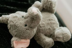 A soft plush gray elephant toy against a dark background.