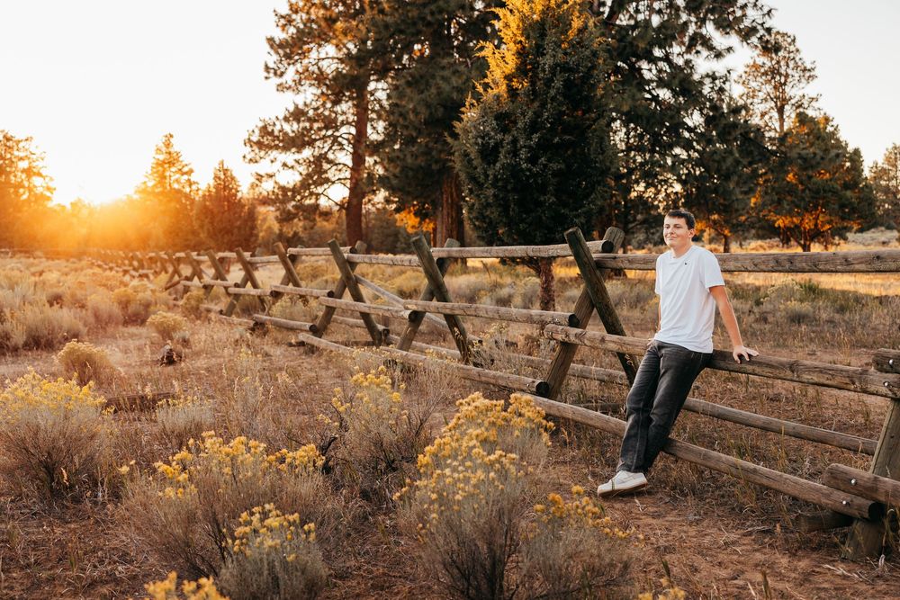 A person stands on wooden steps at sunset in a desert landscape with golden wildflowers and pine trees.