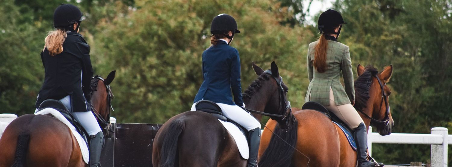 Three equestrians riding horses in a line wearing proper riding attire.