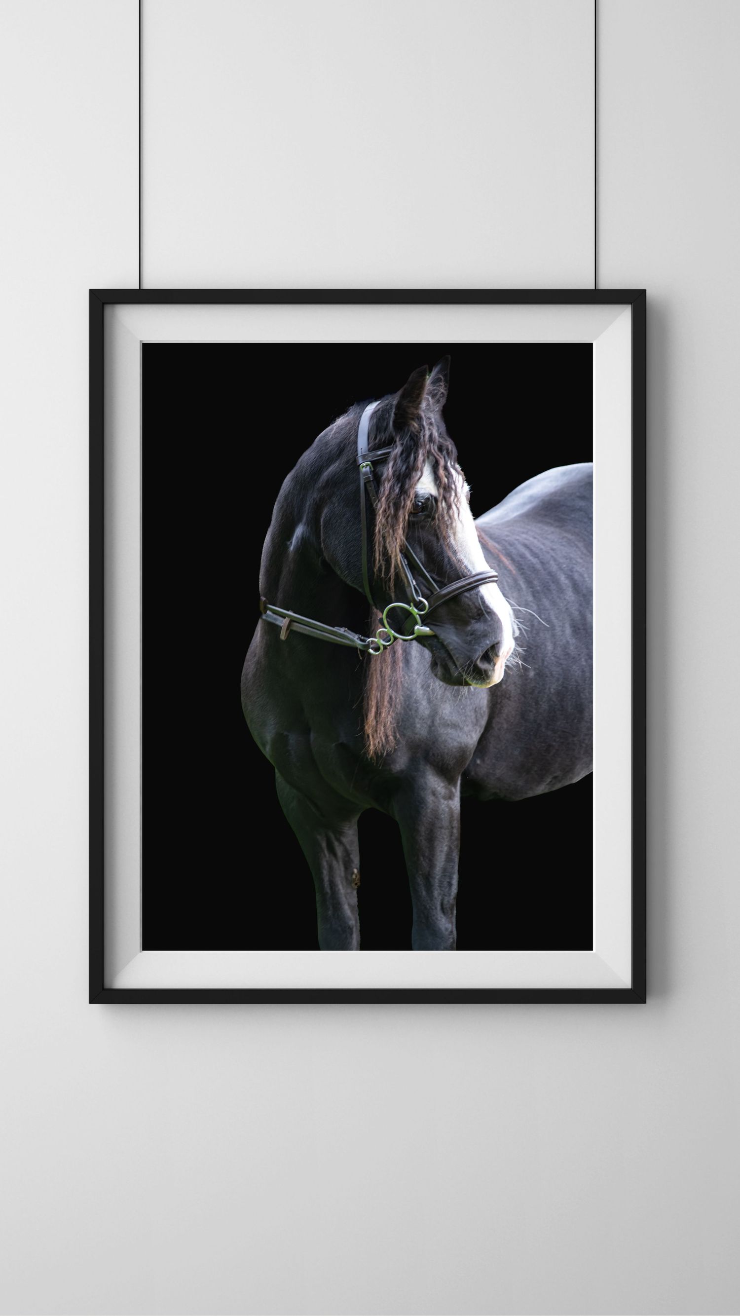 Dramatic black and white portrait of a horse with bridle against dark background in a framed wall art.