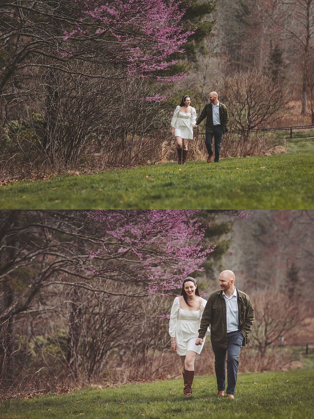 Spring engagement photos with blooming redbud trees creating romantic purple backdrop.
