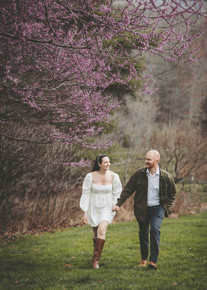 Cherry blossom trees in full bloom frame a path through a spring garden.