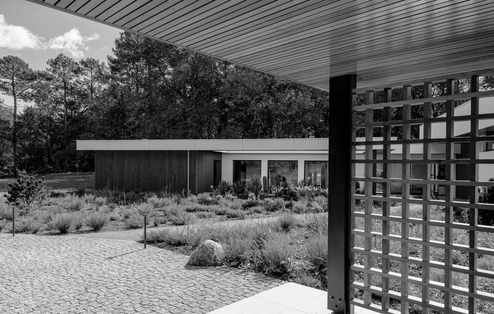 Modern architectural design featuring a geometric pergola overlooking a landscaped garden with native plants and stones.