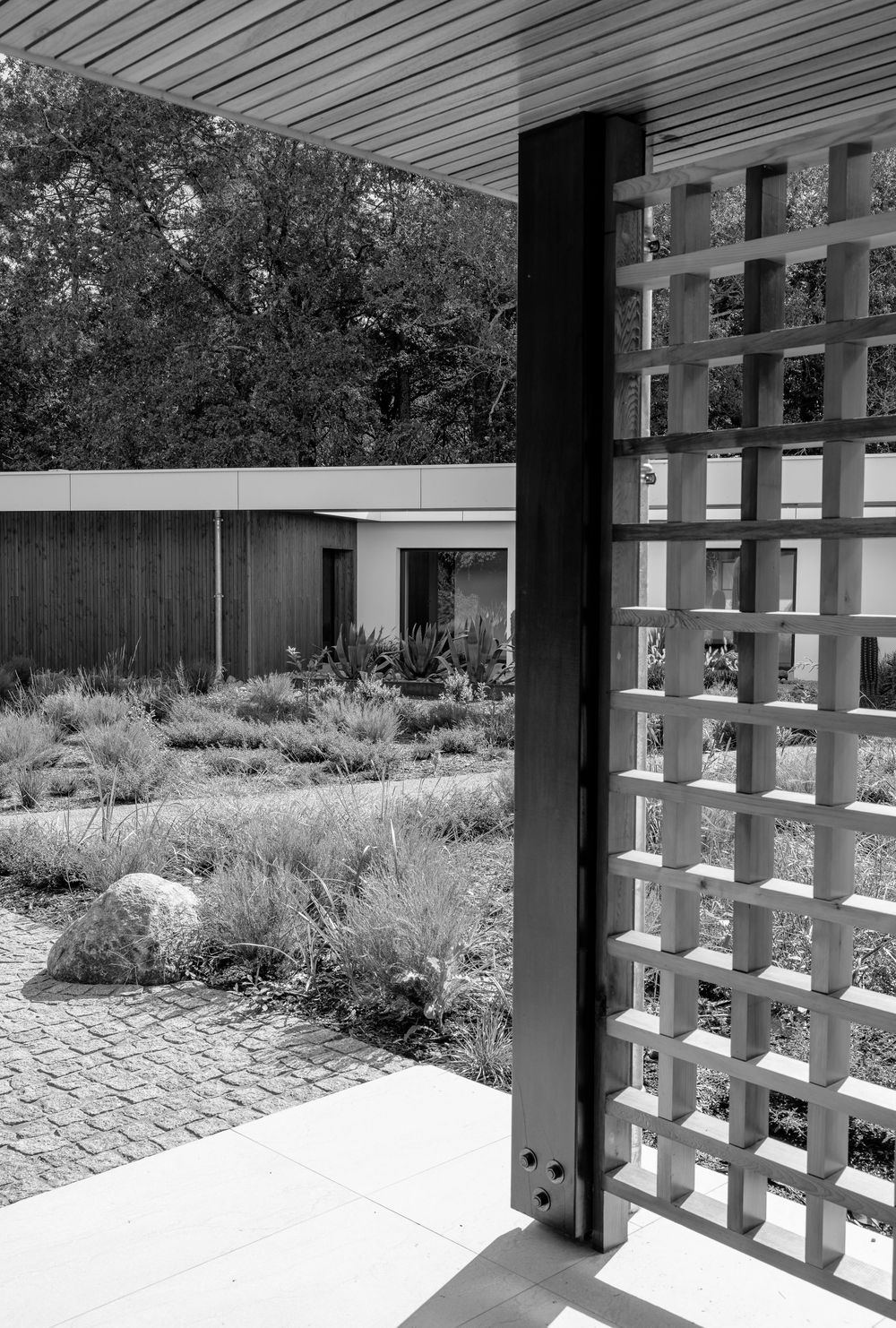 Modern architectural detail shows geometric shadows cast by a pergola structure onto a white concrete patio and garden area.