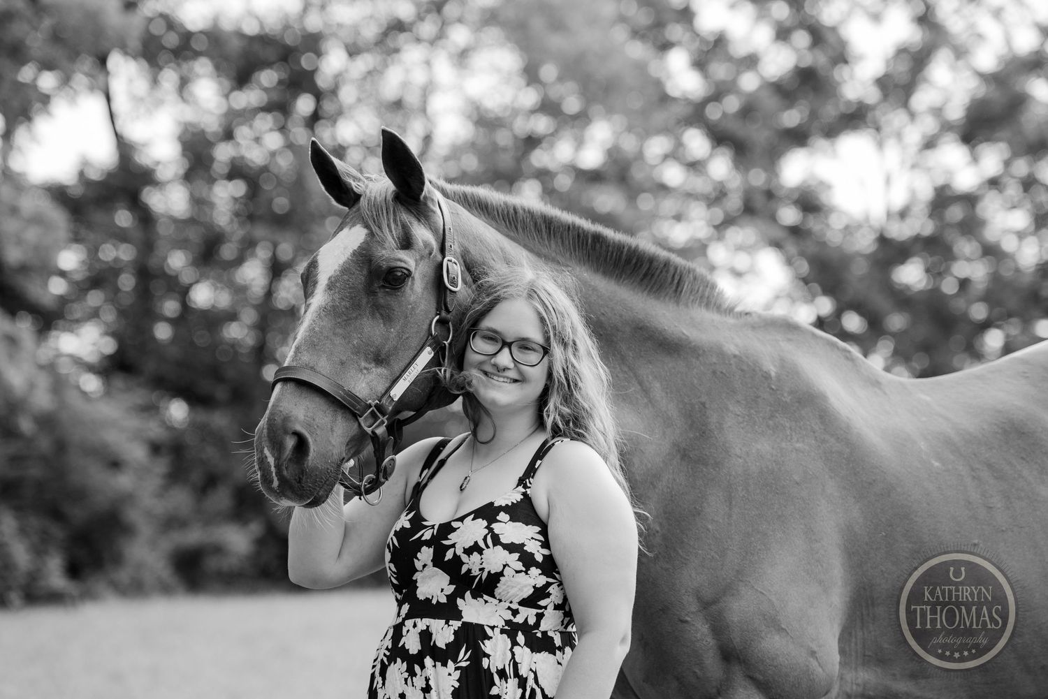 A gray horse with a gentle expression poses outdoors in a black and white portrait.