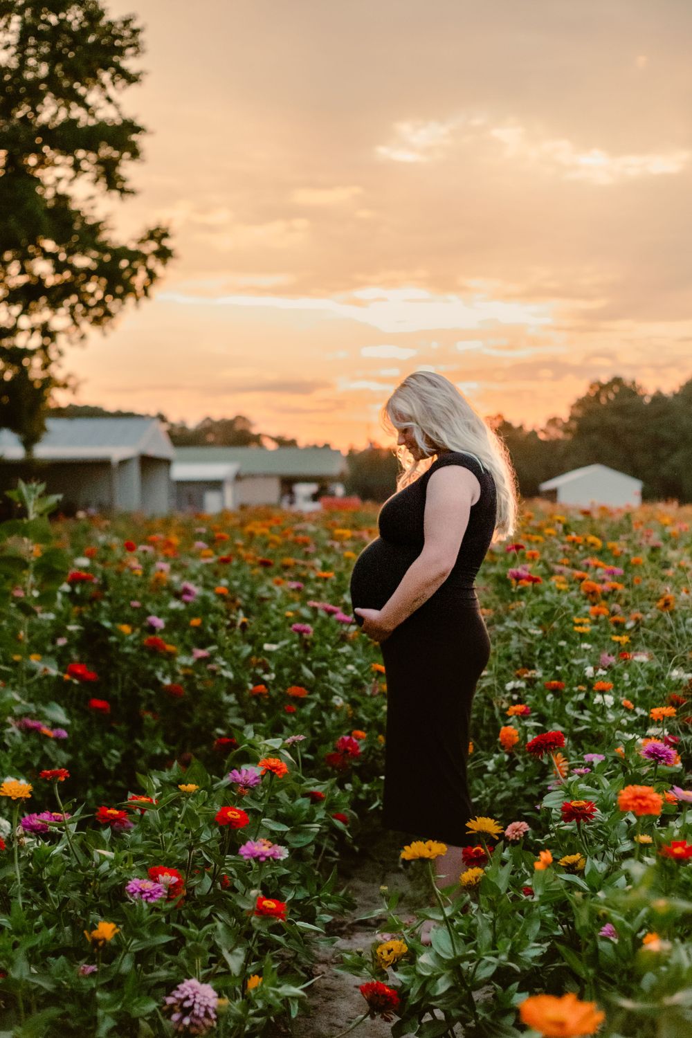 fayetteville north carolina nc fort brag affordable photographer photography cost friendly budget maternity flower field pregnant couples