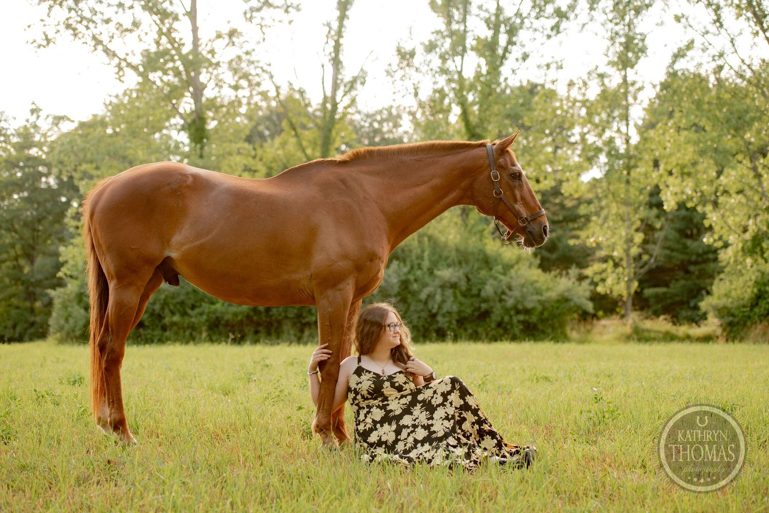 A chestnut horse stands in a grassy field while someone in a floral dress sits below.