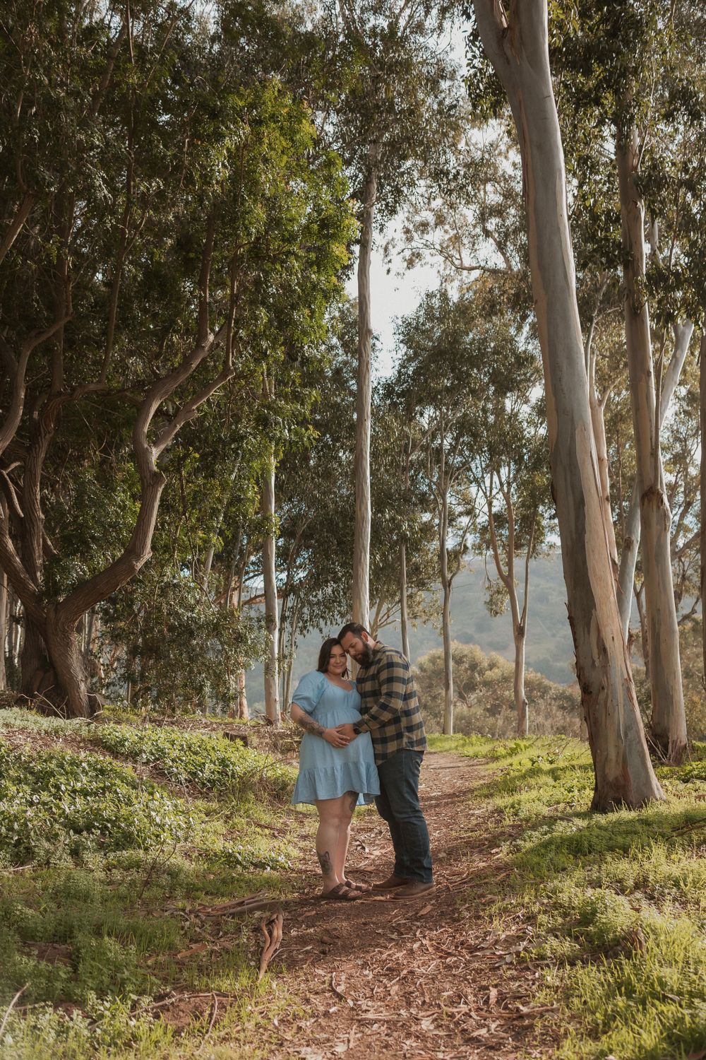 Couple poses for maternity photos on a tree-lined path in a eucalyptus grove.