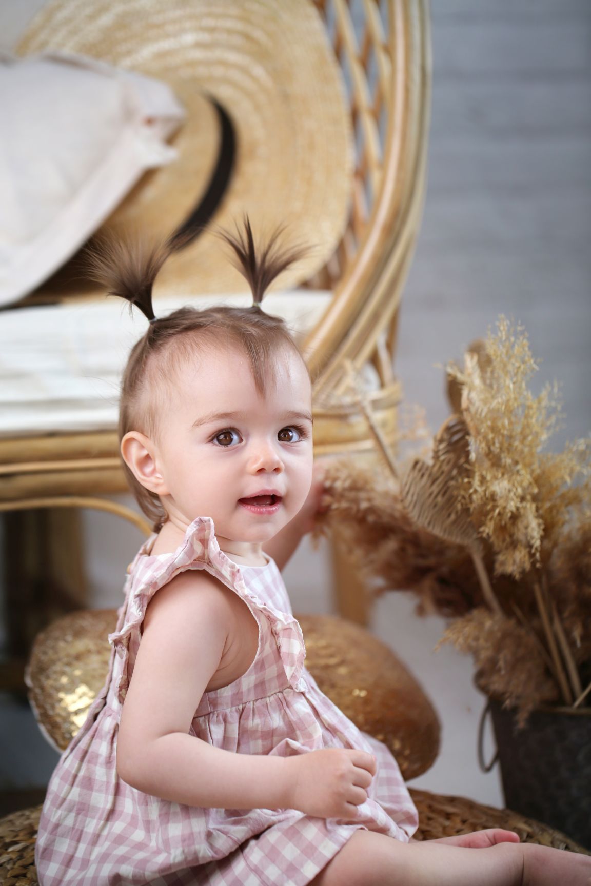 Baby in pink gingham dress sits with pigtails in front of decorative dried pampas grass and wicker furniture.