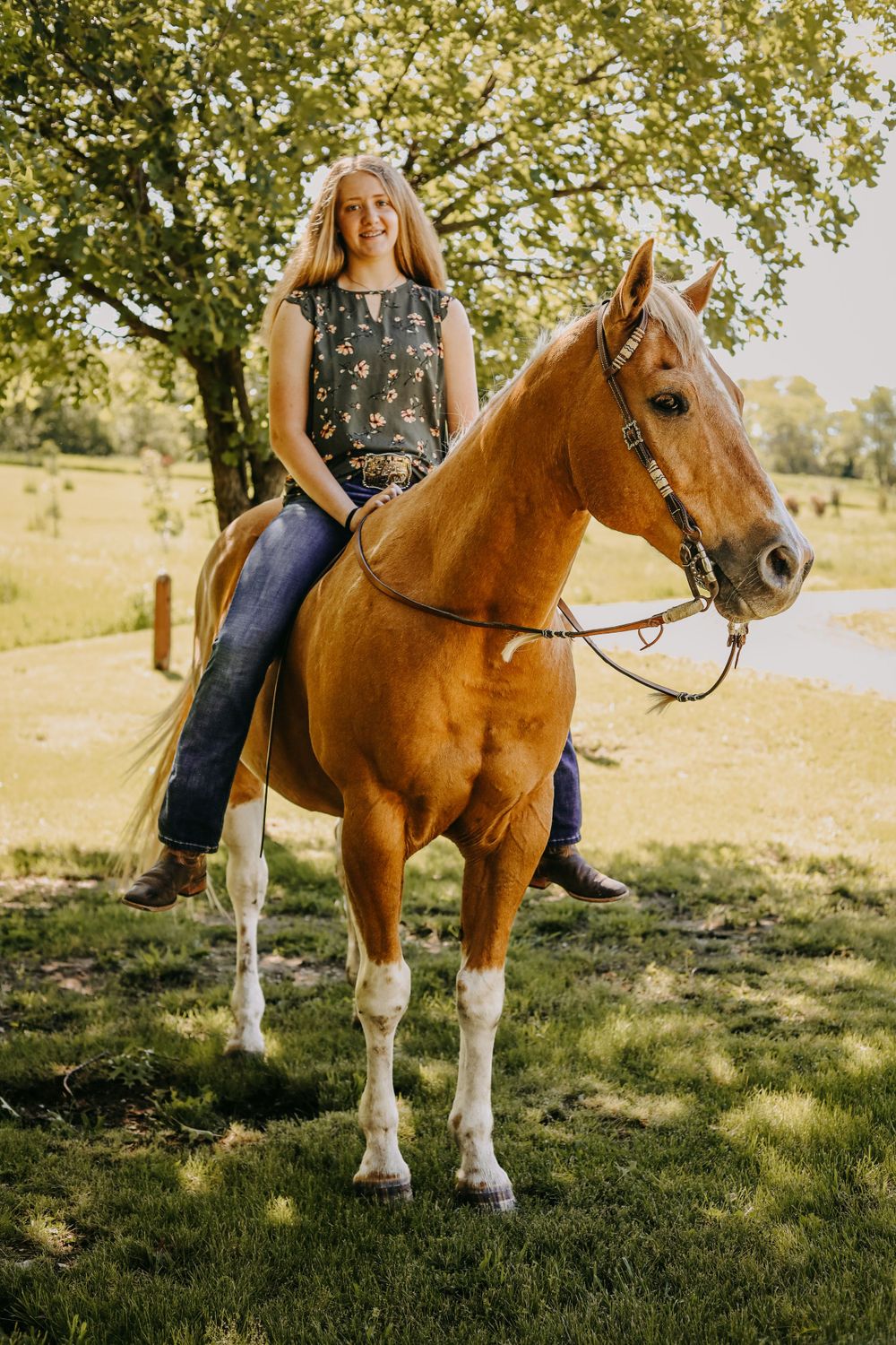 Horse and rider pose together in a sunlit pasture with trees in the background.