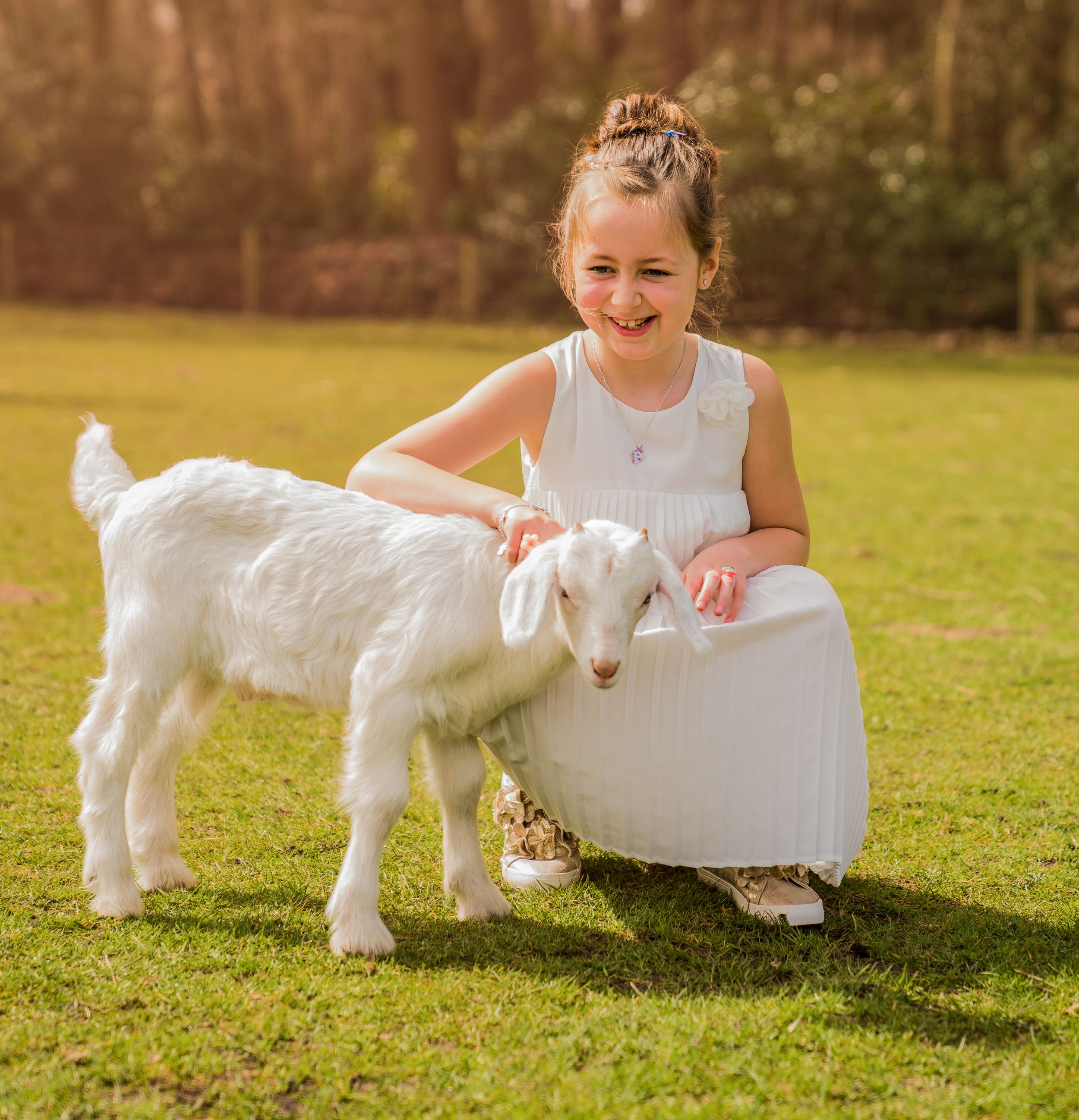 een foto van een meisje (communicant) met een lammetje in het zonlicht in een park.