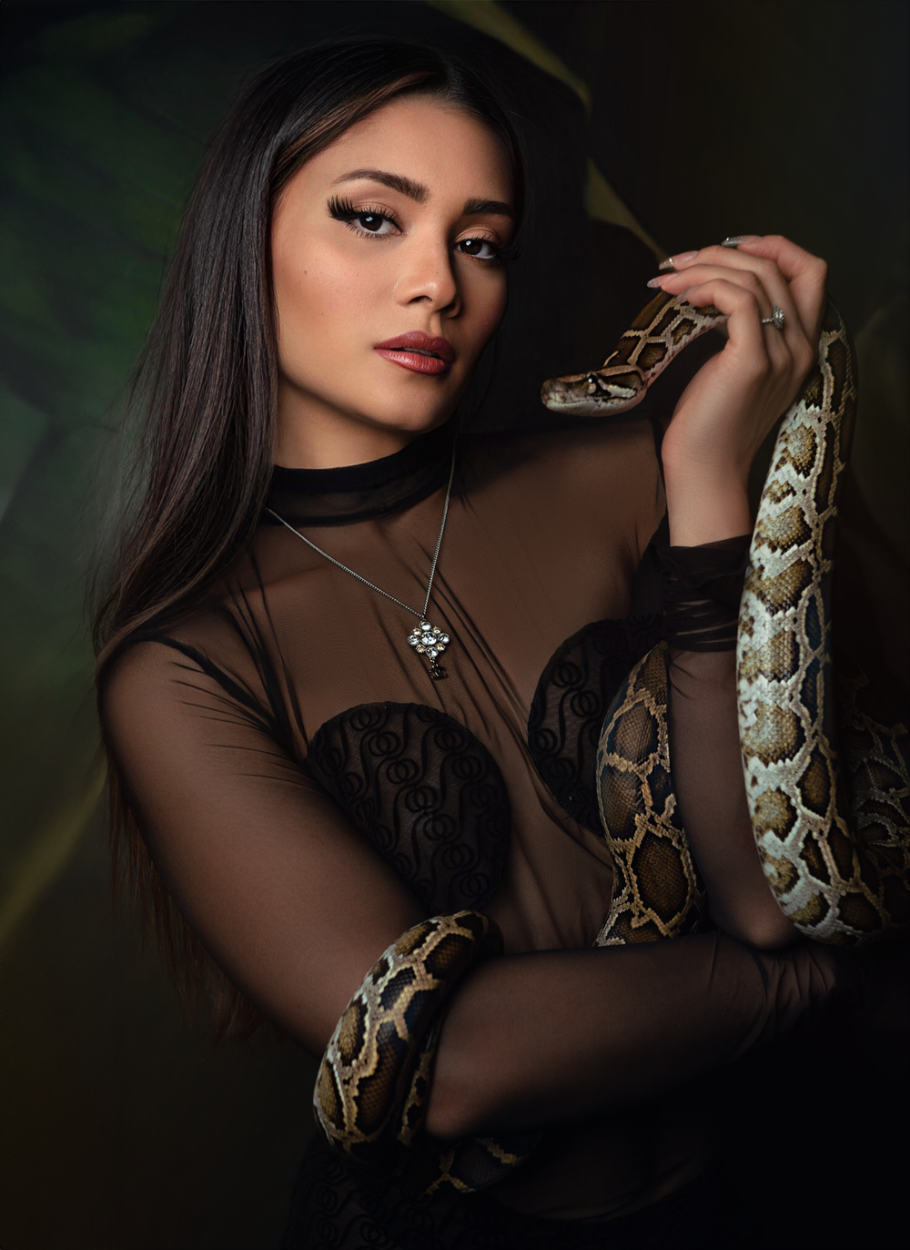 Moody portrait series featuring a snake prop and sheer black clothing in low key lighting.