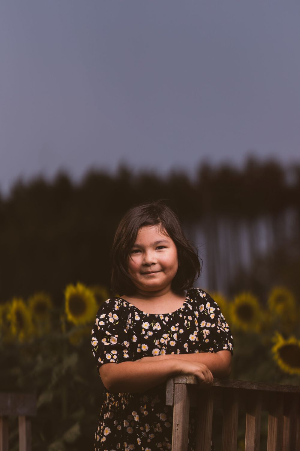 Child wearing floral dress poses by wooden fence with sunflowers in background at sunset.