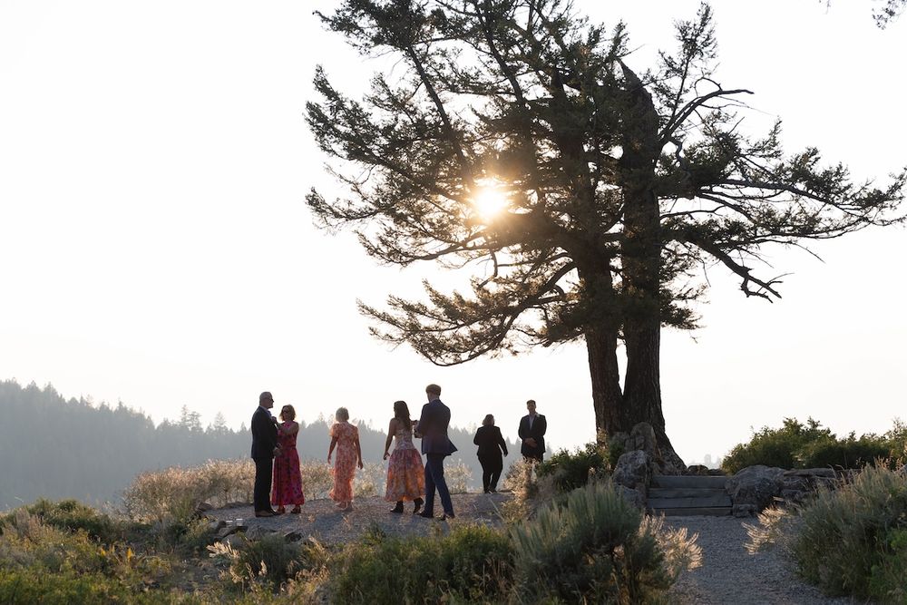 Silhouetted group of people standing near a large pine tree at sunset in a scenic outdoor landscape.