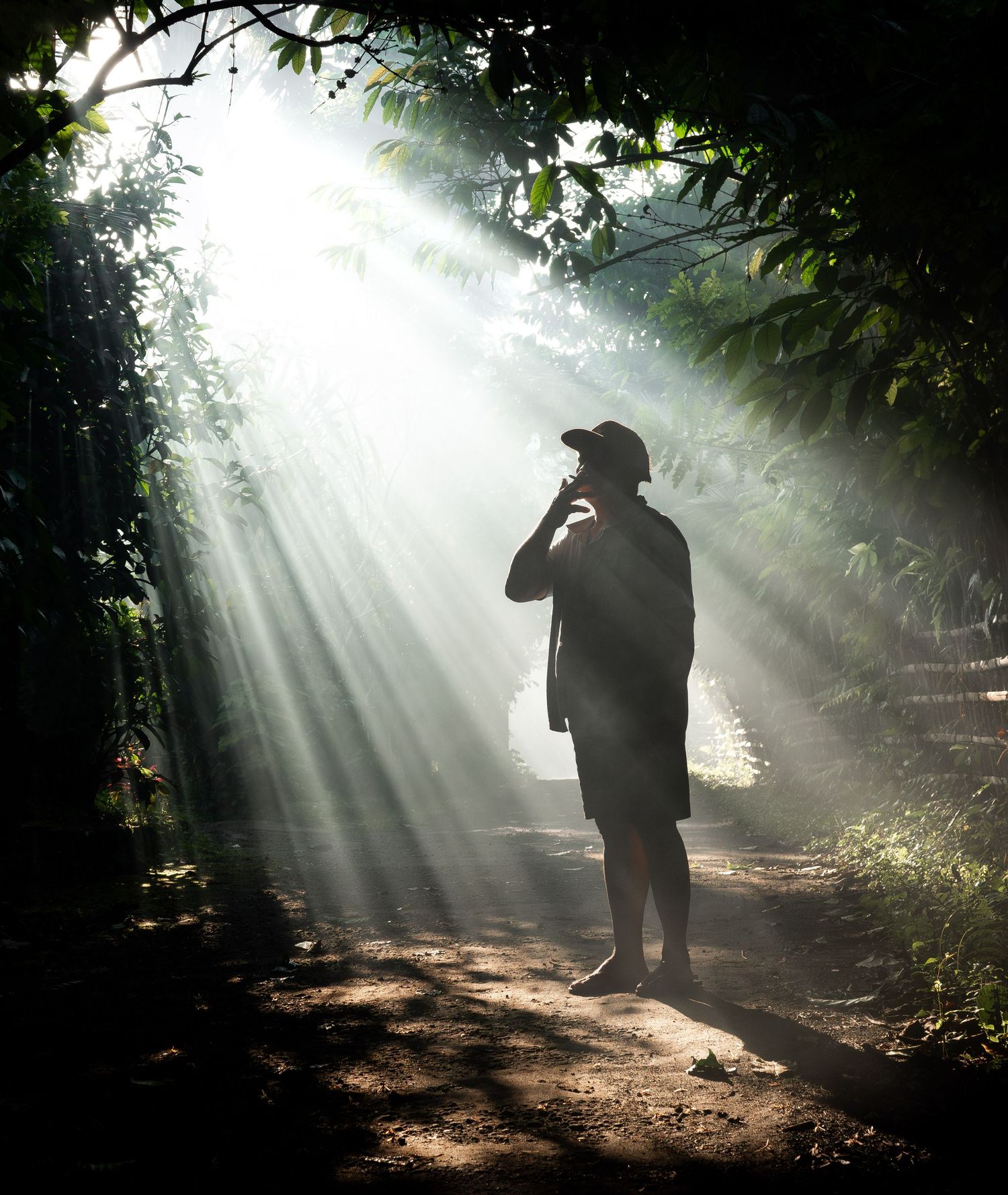 A silhouetted figure stands in dramatic rays of sunlight streaming through a misty forest.