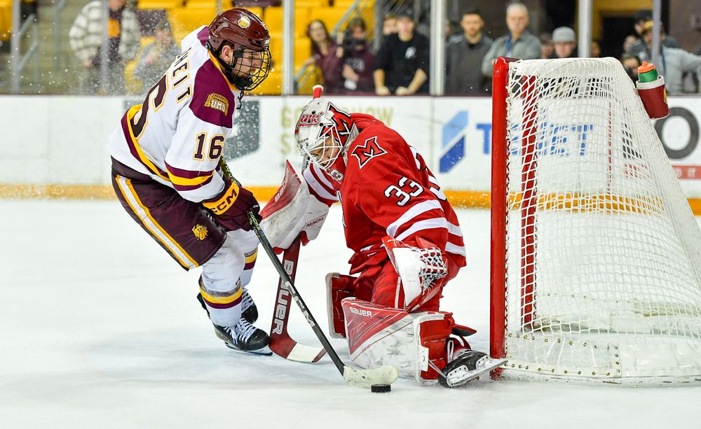 Amsoil Arena Hockey Photos, Amy Arntson