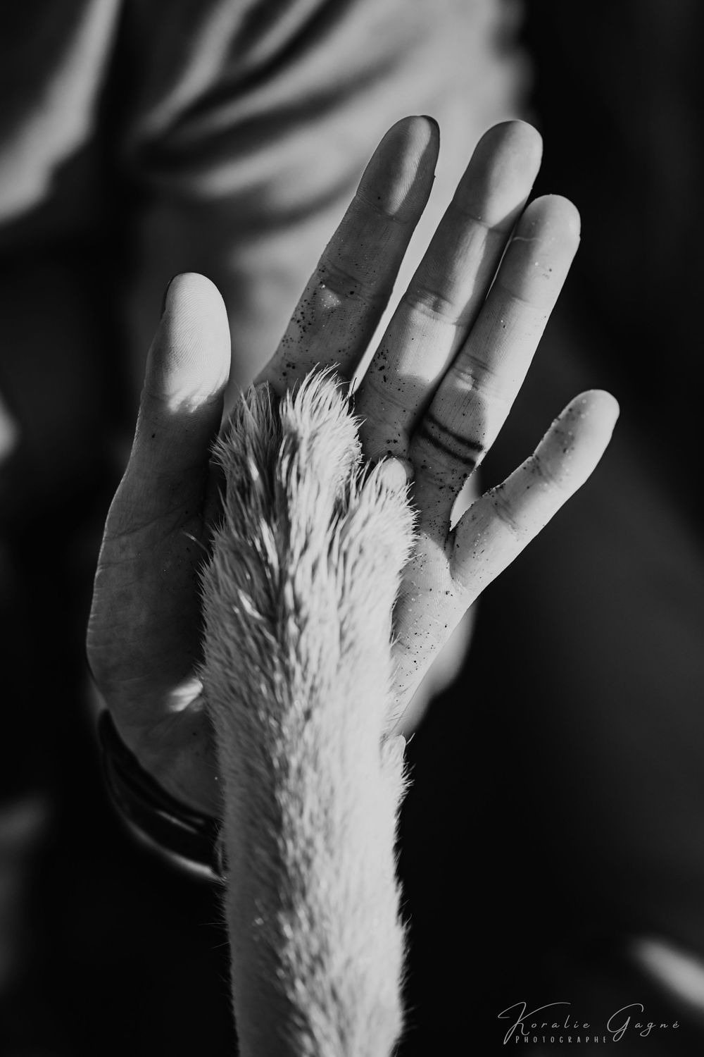 A close-up of a person's hand holding a feather.