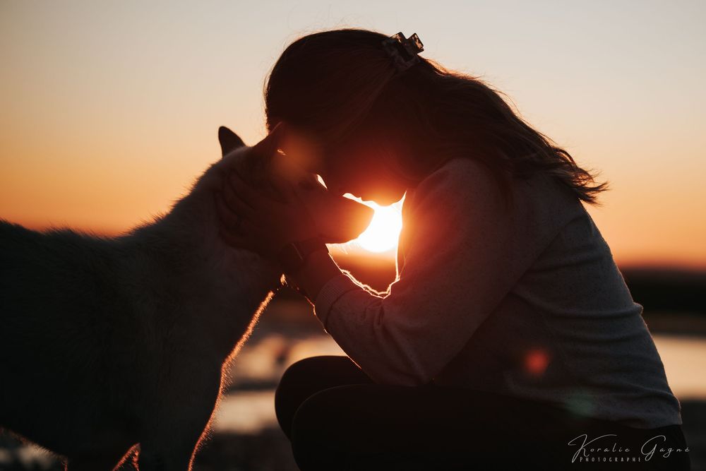 A person silhouetted against the sunset, embracing a horse.