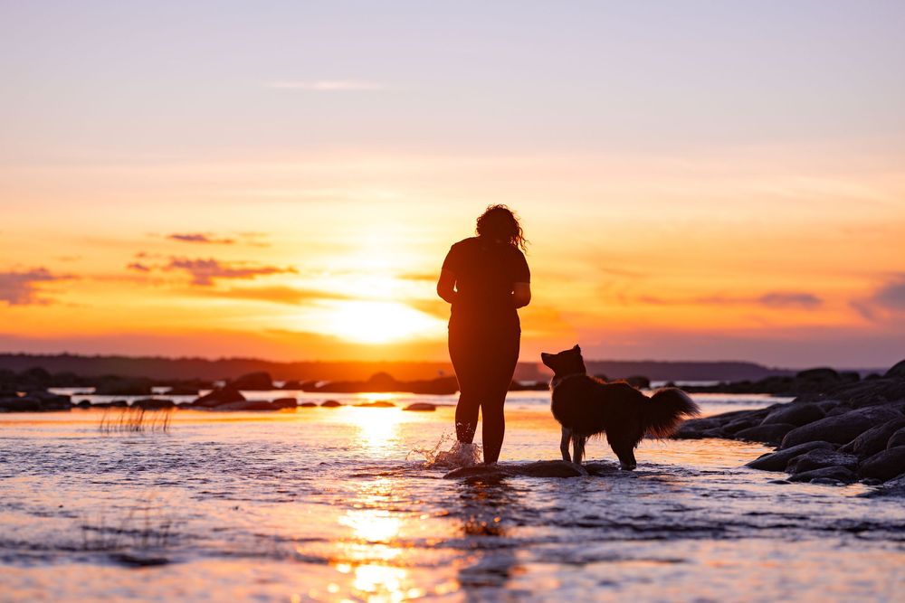 A person and their dog stand in the shallow water at sunset.